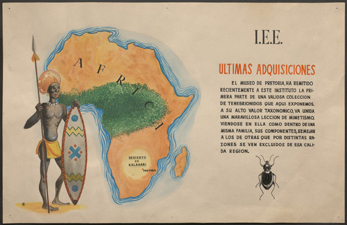 Cartel informativo sobre la adquisición por parte del Instituto Español de Entomología de una colección de coleóptero procedentes del Museo de Pretoria