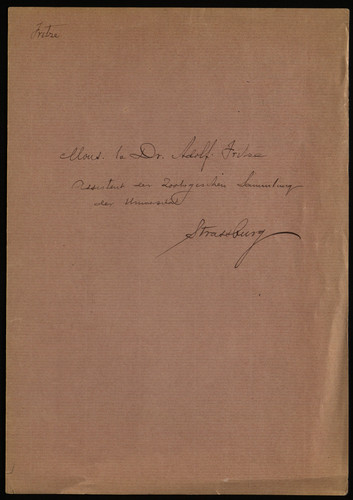 Correspondencia de Adolf Fritze con Ignacio Bolívar.